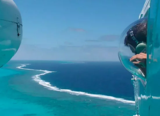 Polynésie : lancement d'une vaste campagne d'observation aérienne des grandes espèces marines