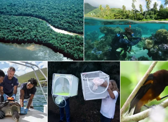 Le gouvernement lance le Programme Prioritaire de Recherche (PPR) « Outre-mer » dans le cadre de France 2030