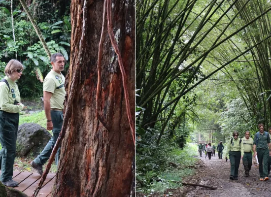 La directrice générale de l'ONF Valérie Metrich-Hecquet marque le 60e anniversaire de l'Office National des forêts avec une visite en Martinique