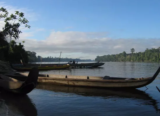 Guyane: une pirogue chavire sur le fleuve Maroni, quatre disparus