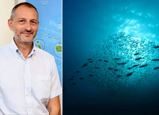 INTERVIEW. L'entrée en vigueur du BBNJ permettra à la Polynésie et aux États du Pacifique « de travailler ensemble à la préservation » de l’Océan, assure Alexandre Rochatte, Haut-commissaire de la République