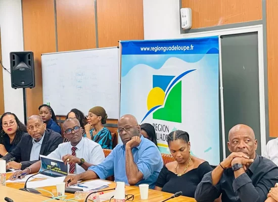 Route du Rhum Destination Guadeloupe 2026 : La Région installe le premier comité de pilotage