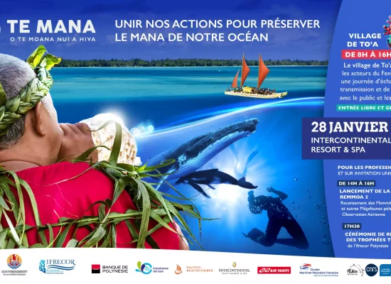 Pour marquer l’entrée en vigueur du traité BBNJ sur la haute mer, l’Ifrecor Polynésie annonce la 2ème édition de « Te Mana o Te Moana Nui a Hiva – Unir nos actions pour préserver le Mana de notre Océan »