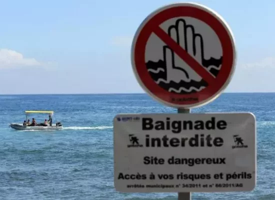 La Réunion : Renforcement de la Surveillance face au Risque Requin