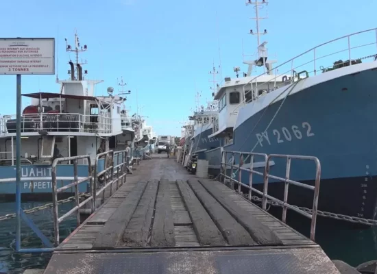 Pêche : Malgré des filets remplis en 2024 en Polynésie, l’export est à la traîne