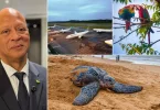 Tourisme. Jean-Luk Le West, président du Comité du tourisme de Guyane veut faire de Cayenne un hub aérien en Amérique du Sud