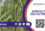 Outremers360 en direct du Village des Outre-mer au Salon International de l’Agriculture 2026