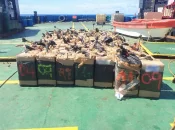 Polynésie: la Marine nationale saisit 2,4 tonnes de cocaïne