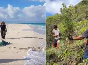 L’OFB ouvre la campagne de financement TeMeUm dédiée aux petits projets en faveur de la biodiversité ultramarine