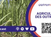 Outremers360 en direct du Village des Outre-mer au Salon International de l’Agriculture 2026