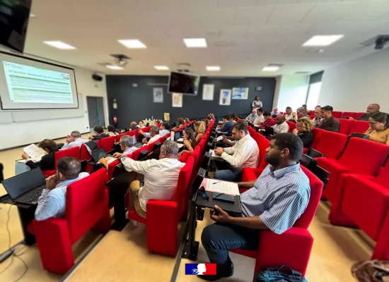 Nouvelle-Calédonie : Une deuxième commission plénière fait le point sur les avancées notables de la reconstruction et la refondation