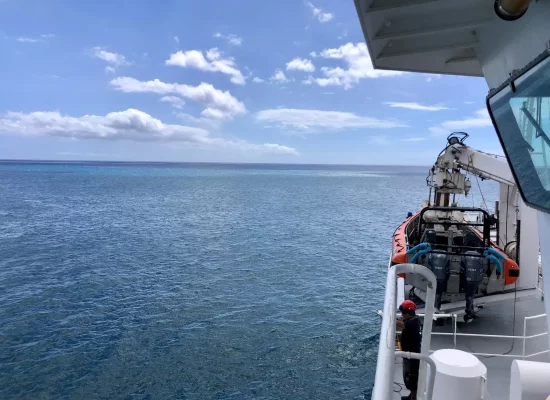 Terres australes et antarctiques françaises : Le projet MARIO lance sa première mission de terrain