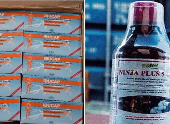 Mayotte: six interpellations dans un trafic d'insecticides et de médicaments illégaux