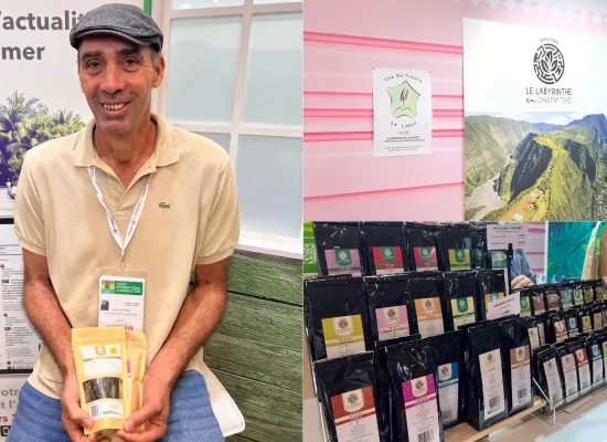 La Réunion : Le thé réunionnais du Labyrinthe en Champ Thé, premier thé français à obtenir la marque de garantie « Thé de France»