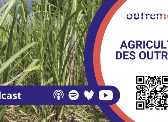 Outremers360 en direct du Village des Outre-mer au Salon International de l’Agriculture 2026