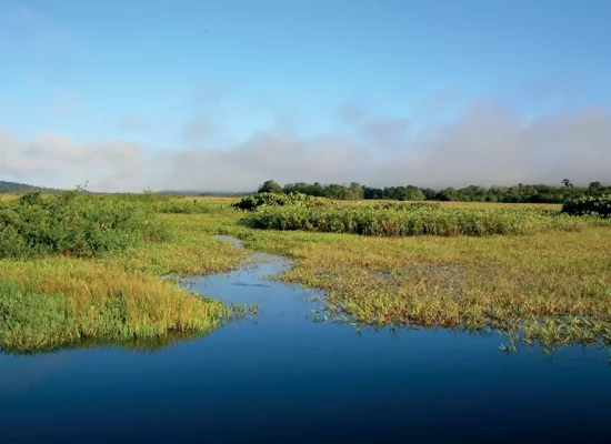 Quatrième Plan national milieux humides : focus sur la stratégie Outre-mer, qui nécessite des actions rapides