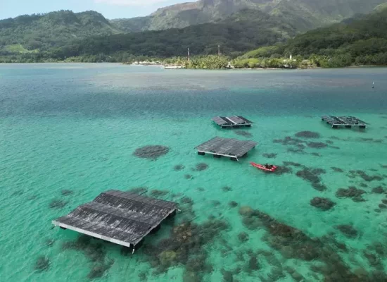 Solaire flottant en Polynésie : premiers résultats encourageants avant de voir plus grand
