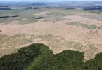 Brésil : la lutte contre la déforestation au cœur du nouveau plan sur le climat