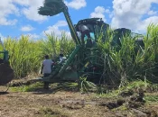 Martinique : Une campagne sucrière porteuse d’espoir pour l’usine du Galion