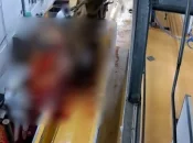 Vaches découpées en vie: L'association L214 porte plainte contre un abattoir de Martinique