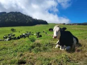 La Réunion : TERRACOOP présente un « plan de redressement ambitieux et pacificateur » pour l’avenir de SOFICOOP et de la filière agricole