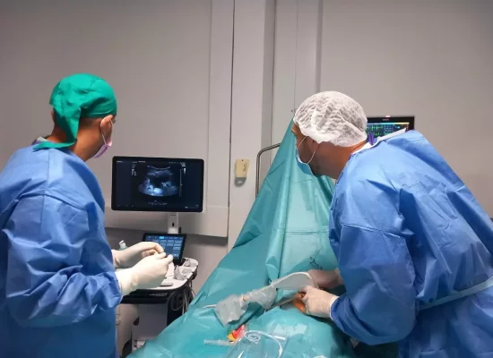 Santé : Le CHU de La Réunion introduit une technique innovante dans la prise en charge de l’insuffisance rénale