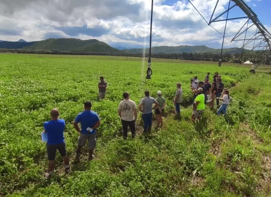 Nouvelle-Calédonie : la culture du soja testée sur 16 hectares