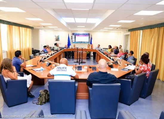 Sécurité et Prévention de la délinquance à Saint-Martin : Un diagnostic territorial de sécurité réalisé par le Forum Français pour la Sécurité urbaine (FFSU) présenté à la Collectivité