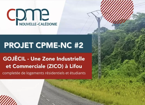 Nouvelle-Calédonie : la CPME-NC propose un projet pilote à Lifou pour concilier coutume et développement économique