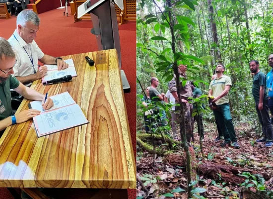 Guyane&nbsp;: Le CNES et l'ONF fêtent 60 ans de collaboration en Guyane et scellent un partenariat pour les 10 prochaines années
