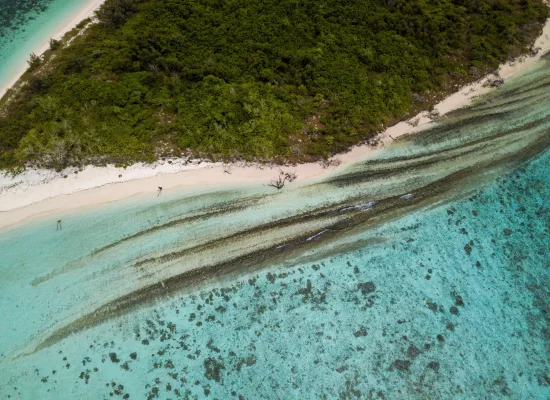Dans les Outre-mer, un vaste programme de recherche pour lutter contre les pollutions agricoles, minières et urbaines mobilise 200 chercheurs