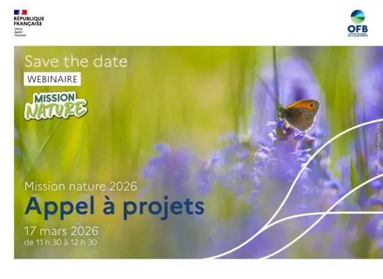L’OFB lance l’appel à projets « Mission Nature 2026 » pour soutenir la restauration de la biodiversité