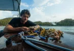 Polynésie : Titouan Bernicot, fondateur de Coral Gardeners, parmi les « 30 Under 30 Europe » de Forbes