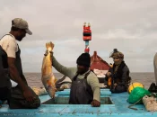 Guyane : Six navires illégaux interceptés lors de l’opération « Mokarran »