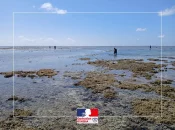 À Mayotte, des drones pour renforcer les contrôles et lutter contre la pêche illégale