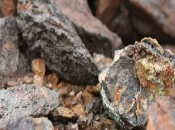 Guyane : Un inventaire minéral à grande échelle pour mieux connaître le sous-sol guyanais