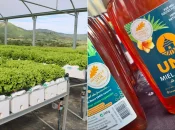 Nouvelle-Calédonie : Deux levées de fonds réussies pour AGRILOGIC et La Case du Miel avec Invest In Pacific et la Banque des Territoires dans le cadre de France 2030