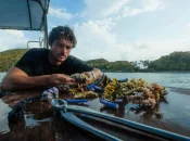 Polynésie : Titouan Bernicot, fondateur de Coral Gardeners, parmi les « 30 Under 30 Europe » de Forbes
