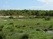 Face à l’urgence climatique, les sociétés ultramarines pourraient être profondément déstabilisées, selon le Haut Conseil pour le climat
