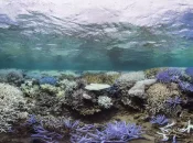 Les océans proches de leur record de chaleur