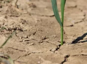 La moitié de la Guadeloupe en alerte sécheresse, le niveau des nappes en cause
