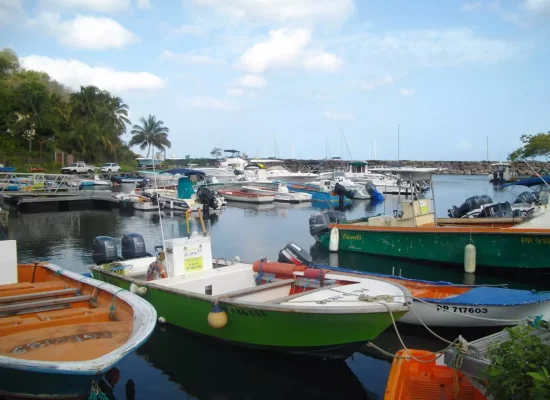 Pêche en Outre-mer : La Commission européenne ouvre la voie au renouvellement de 16 catégories de navires