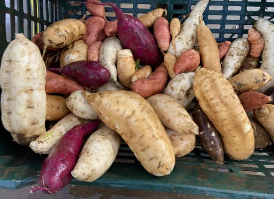 Agriculture : À La Réunion, la lente reconquête de l'autonomie alimentaire