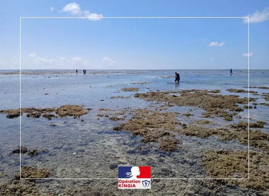À Mayotte, des drones pour renforcer les contrôles et lutter contre la pêche illégale