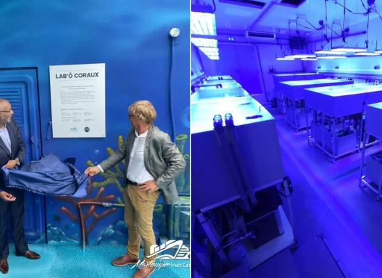 Le Grand Port Maritime de la Martinique lance "LAB’O CORAUX" au service de la protection des récifs