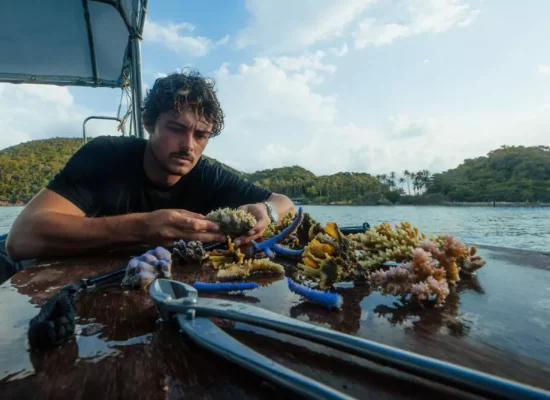 Polynésie : Titouan Bernicot, fondateur de Coral Gardeners, parmi les « 30 Under 30 Europe » de Forbes