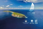 Nouvelle-Calédonie : La Corail 600, première course hauturière organisée dans le parc naturel de la mer de Corail