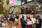 La Guyane reçoit de nouveau le « Stand d’Or » de la Foire de Paris