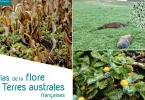 Parution du premier atlas de la flore des TAAF : un patrimoine végétal rare et exceptionnel enfin révélé