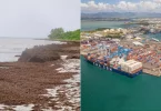 Des délégations de députés européens aux Antilles pour évaluer l’impact des sargasses, des taxes portuaires et du marché unique dans les RUP